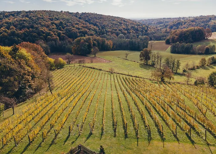 Posestvo Gjerkes 农家乐 *